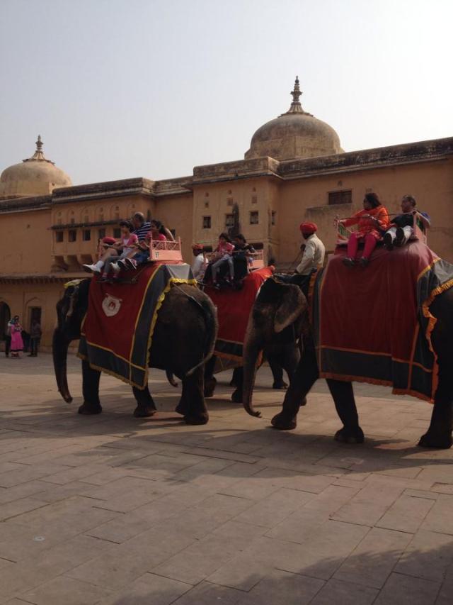 Elephants on parade at Amer Fort, Jaipur, Rajasthan
