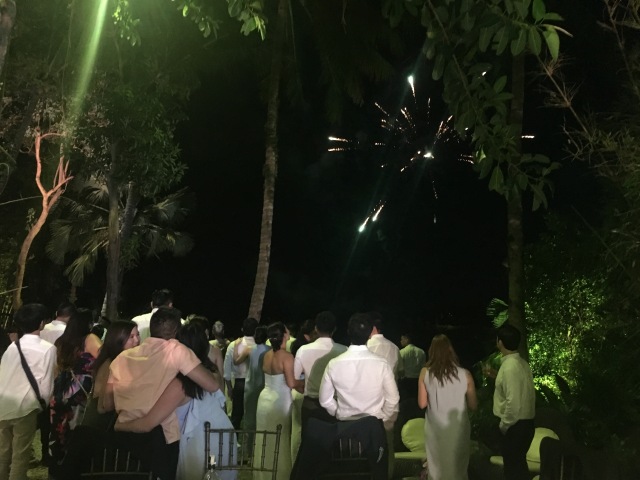 Guests watch the awesome surprise fireworks display